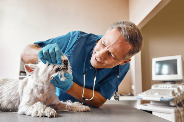Best Emergency Tooth Extraction in East Wenatchee, WA